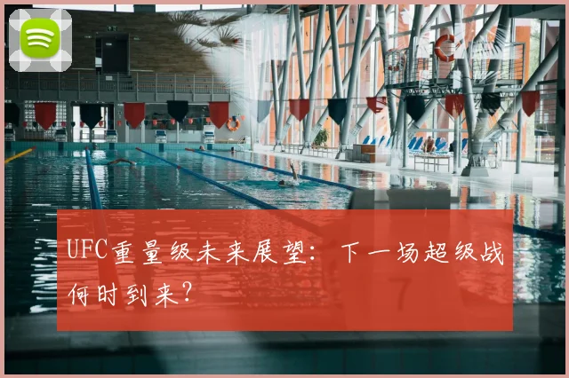 UFC重量级未来展望：下一场超级战何时到来？