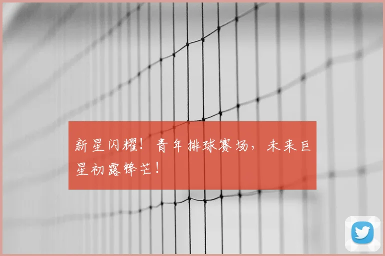 新星闪耀!青年排球赛场,未来巨星初露锋芒!