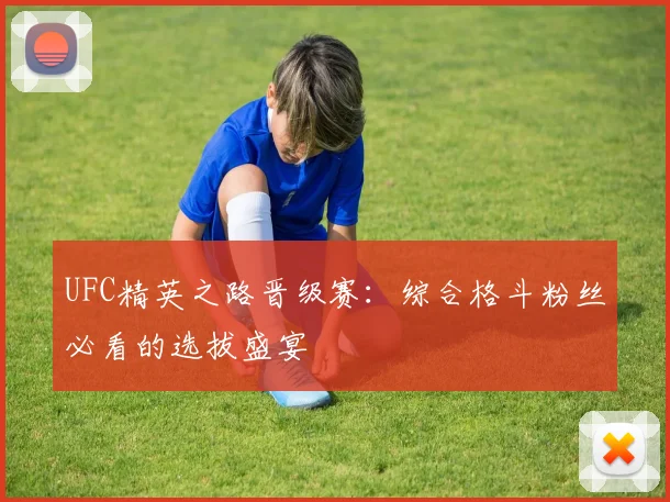 UFC精英之路晋级赛：综合格斗粉丝必看的选拔盛宴