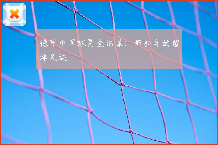 德甲中国球员全记录：那些年的留洋足迹