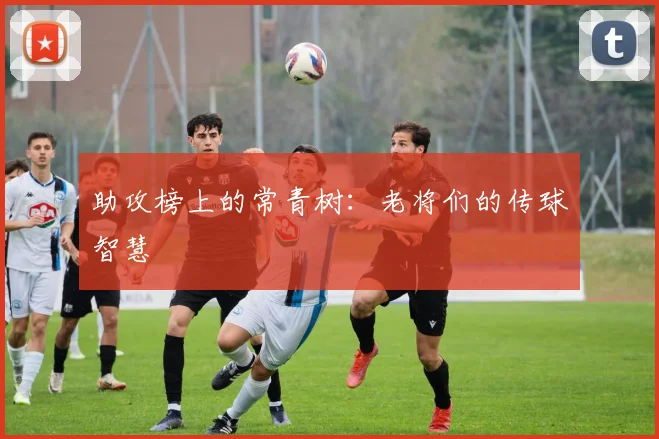助攻榜上的常青树:老将们的传球智慧