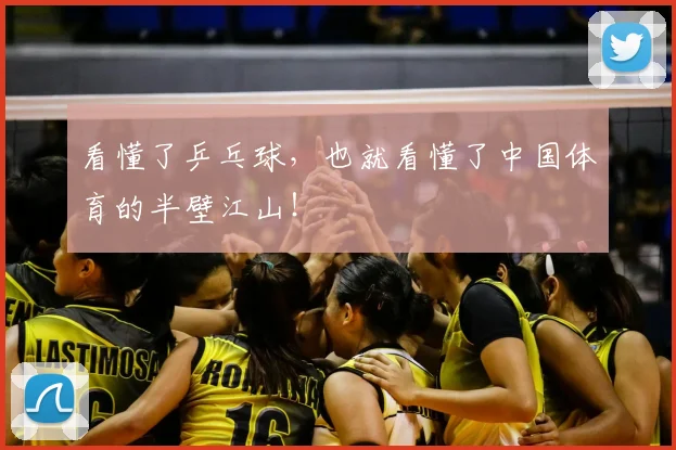 看懂了乒乓球，也就看懂了中国体育的半壁江山！