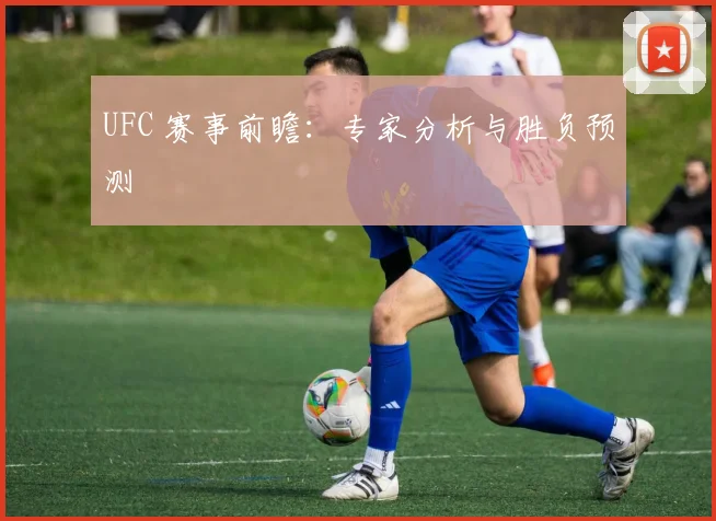 UFC 赛事前瞻：专家分析与胜负预测