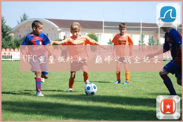 UFC重量级对决:巅峰之战全记录