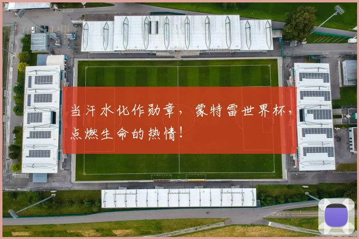 当汗水化作勋章,蒙特雷世界杯,点燃生命的热情!