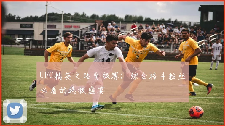 UFC精英之路晋级赛：综合格斗粉丝必看的选拔盛宴