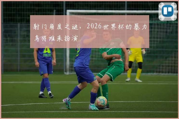 射门角度之谜，2026世界杯的暴力鸟将谁来扮演